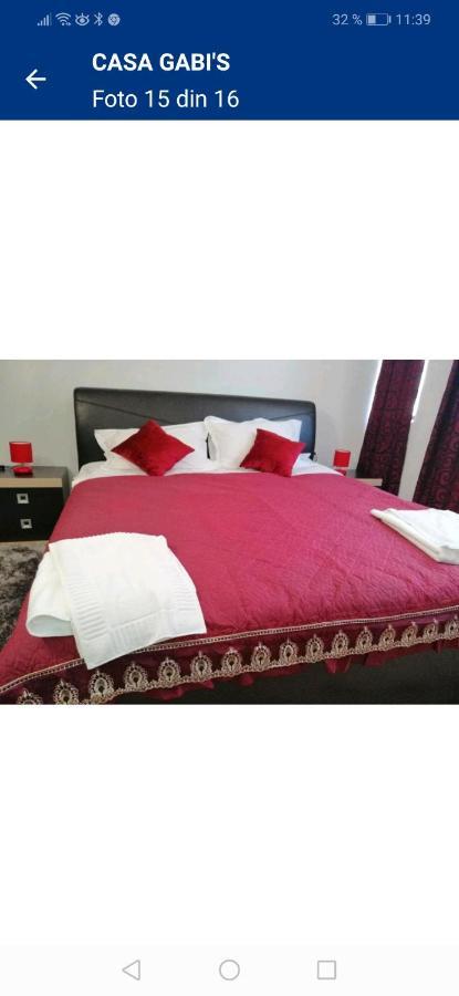 Hotel Casa Gabi'S Orşova Esterno foto